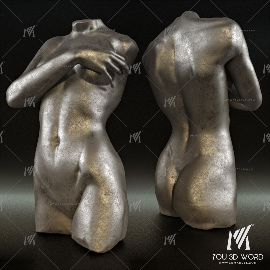 Torso Christopher Guy